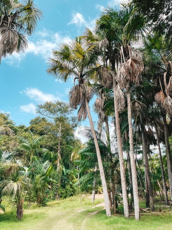 Pousada Vasto Horizonte Barreirinhas Ngoại thất bức ảnh