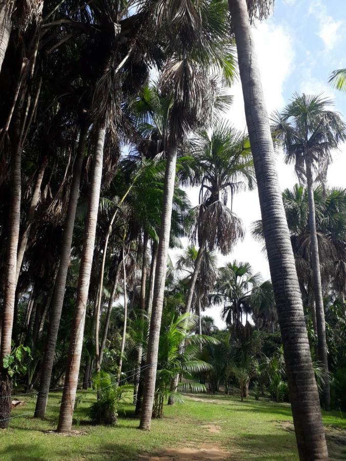 Pousada Vasto Horizonte Barreirinhas Ngoại thất bức ảnh